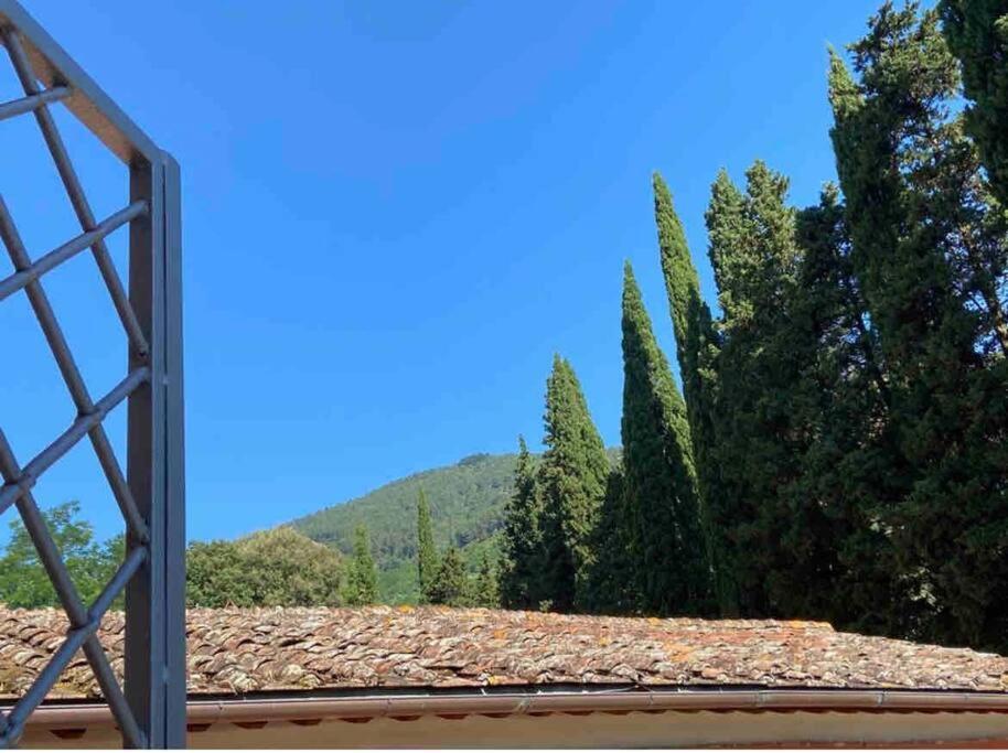 Buti Uno Spazio Di Relax In Toscana 아파트 외부 사진