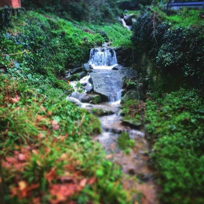 Buti Uno Spazio Di Relax In Toscana 아파트 외부 사진