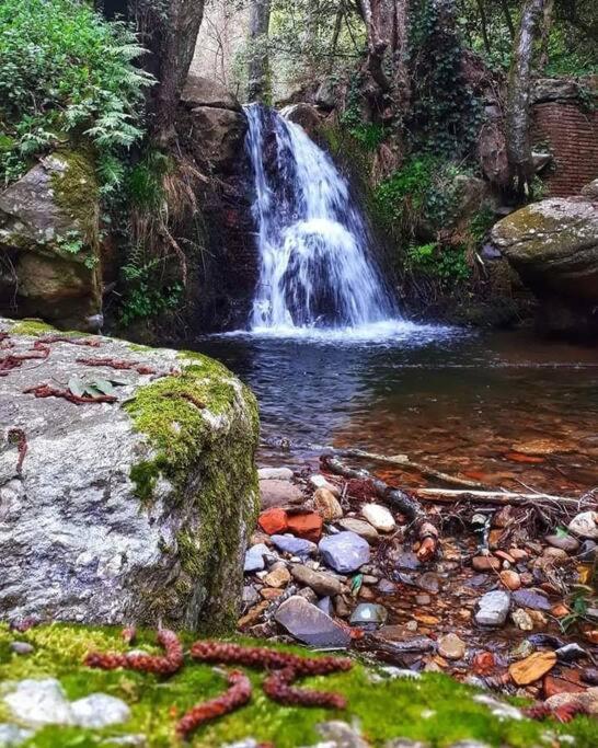 Buti Uno Spazio Di Relax In Toscana 아파트 외부 사진